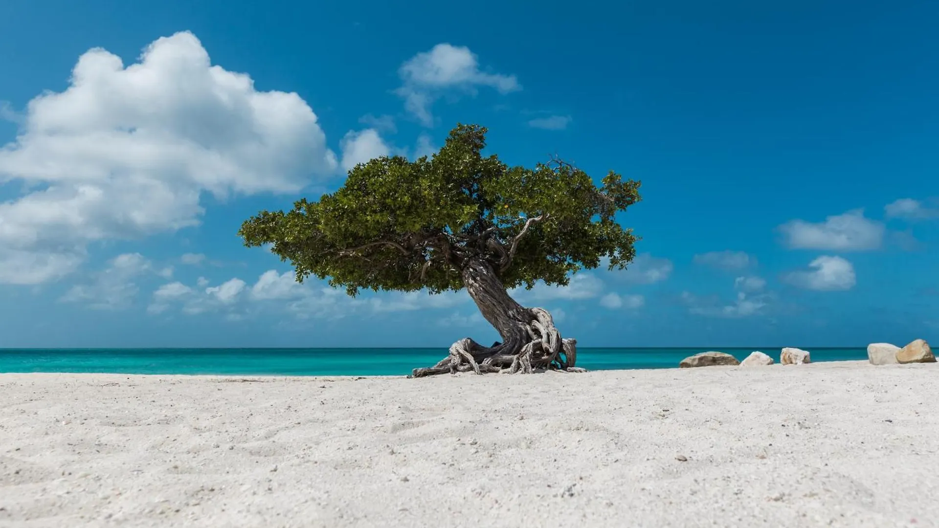Diamante 69 Villa Palm Beach Aruba